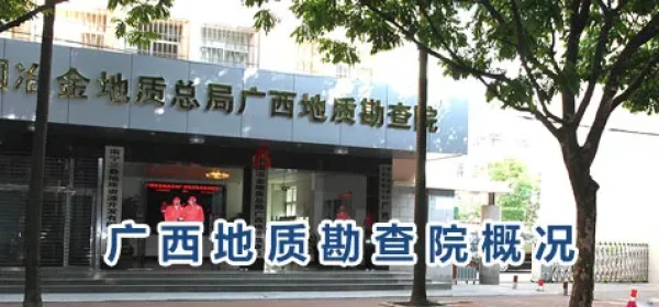 中国共产党第二十届中央委员会第四次全体会议公报